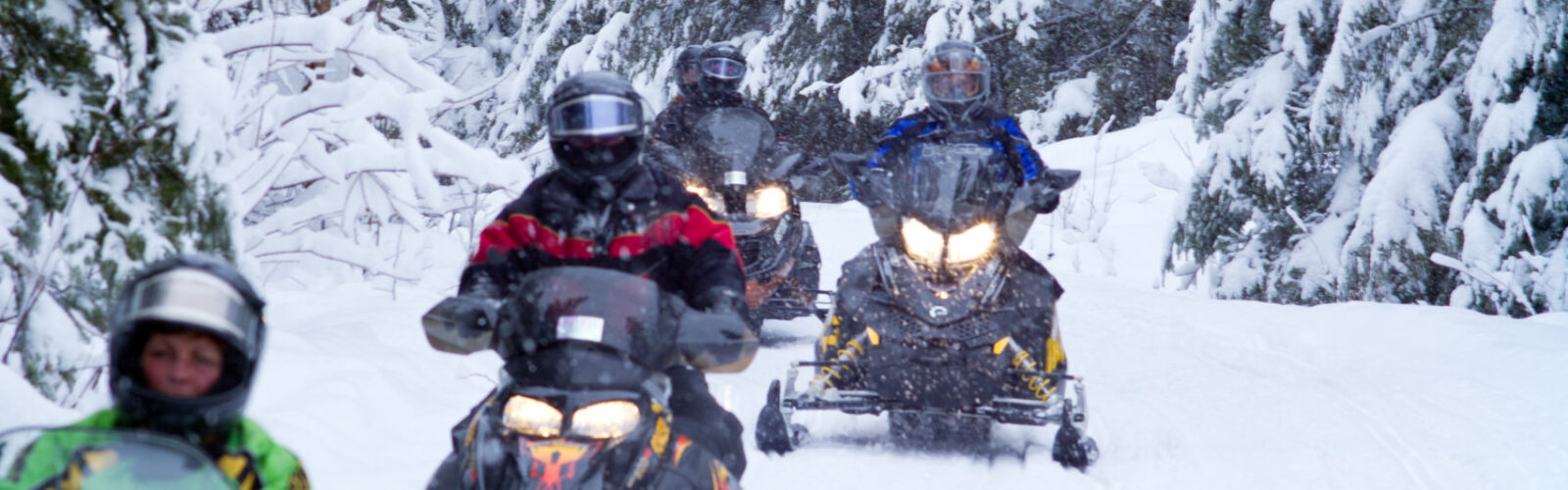 Snowmobilers on a trail